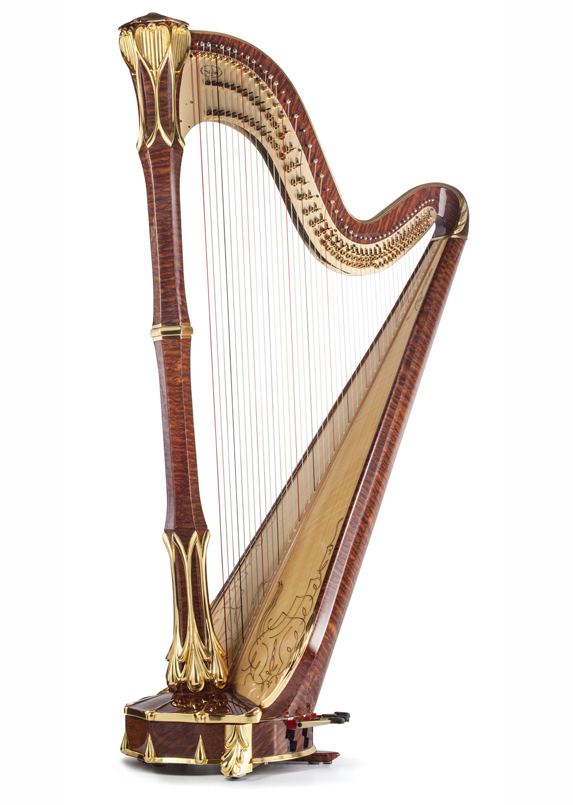 Apollonia Gold