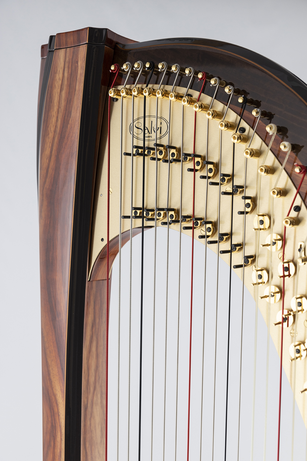 Salvi-WhitneyEP-detail-1