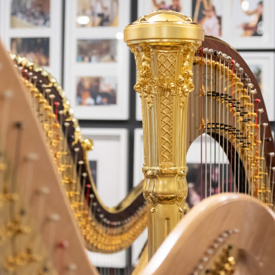 Detailed gold harp column